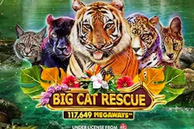 Big Cat Rescue Megaways